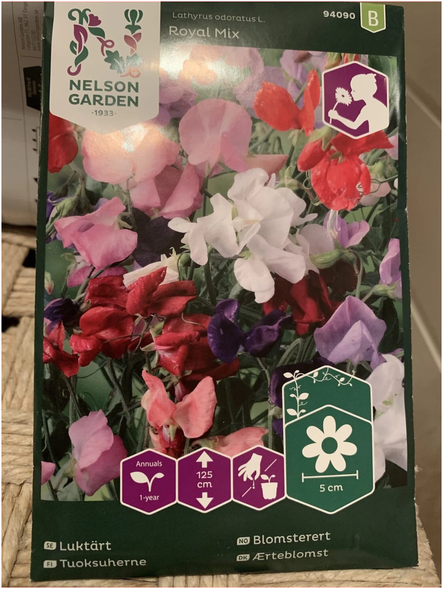 Blomsterert, (erteblomst) Royal Mix 3 Blomsterert, (erteblomst) Royal Mix - Bilde 3