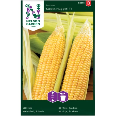 Mais, "Sweet Nugget"