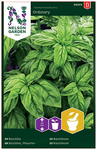 Basilikum 1 Basilikum