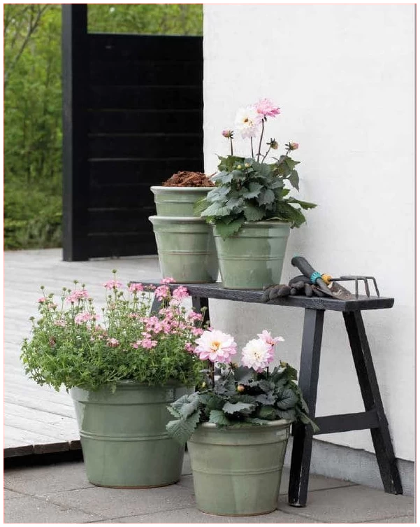 sedona gronn gra oversikt - Potting