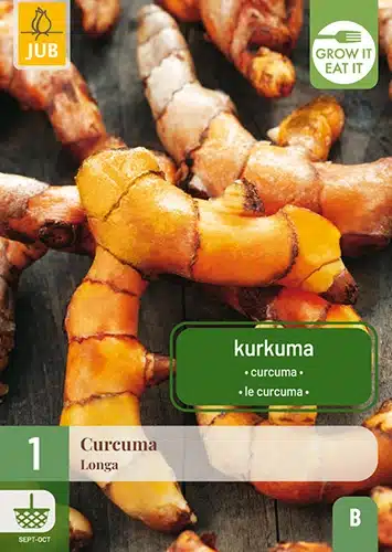 Gurkemeie 1 setteknoll 1 Gurkemeie 1 setteknoll