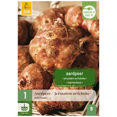 Jordskokk 1 setteknoll