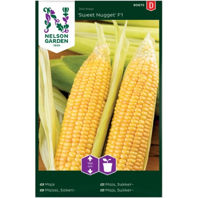 Mais, "Sweet Nugget"