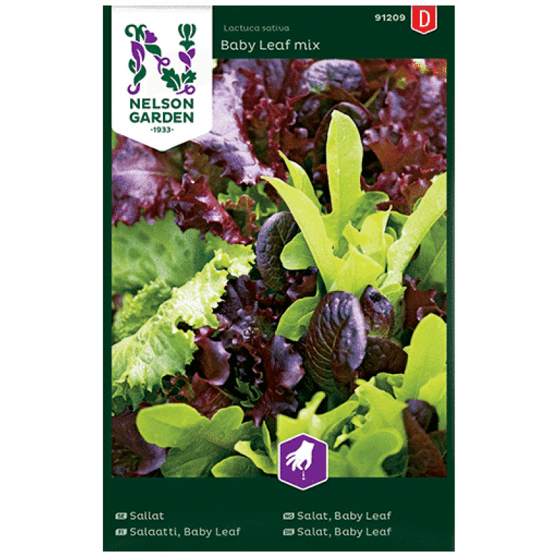 baby leaf - Salat, Baby Leaf mix